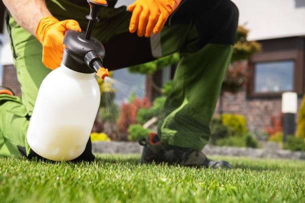 Best Bed Bug Extermination  in Franklin Lakes, NJ