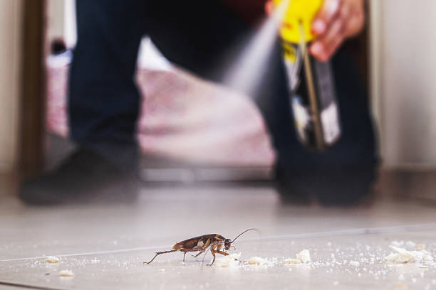  Franklin Lakes, NJ Pest Control Pros