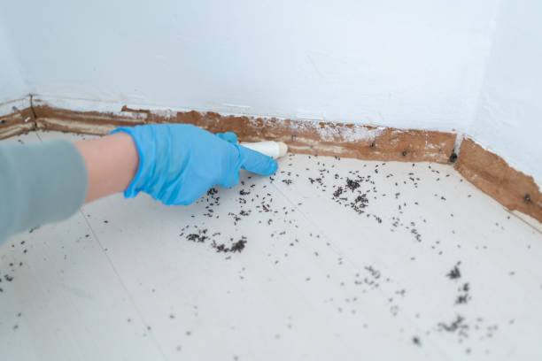 Best Best Pest Control Companies  in Franklin Lakes, NJ